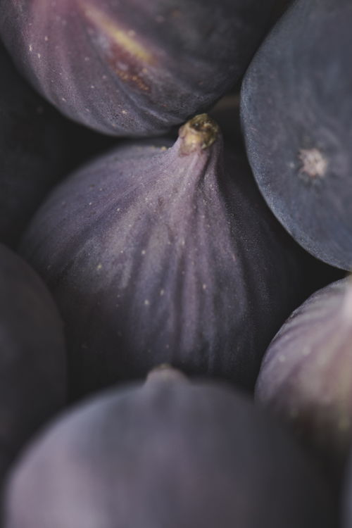 Celleno_flowers_003