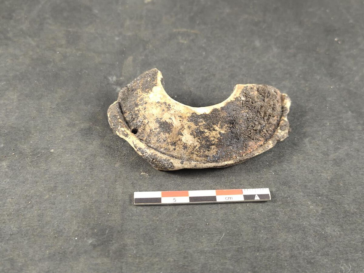 Over 250 skeletons and Roman grave unearthed in Ghent park