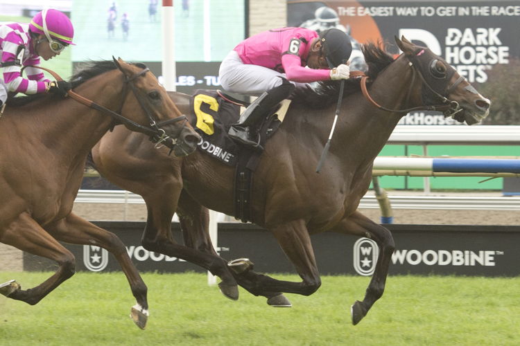 Palazzi and jockey Sahin Civaci winning the Pattison Singspiel Stakes on September 9, 2023 (Michael Burns Photo)