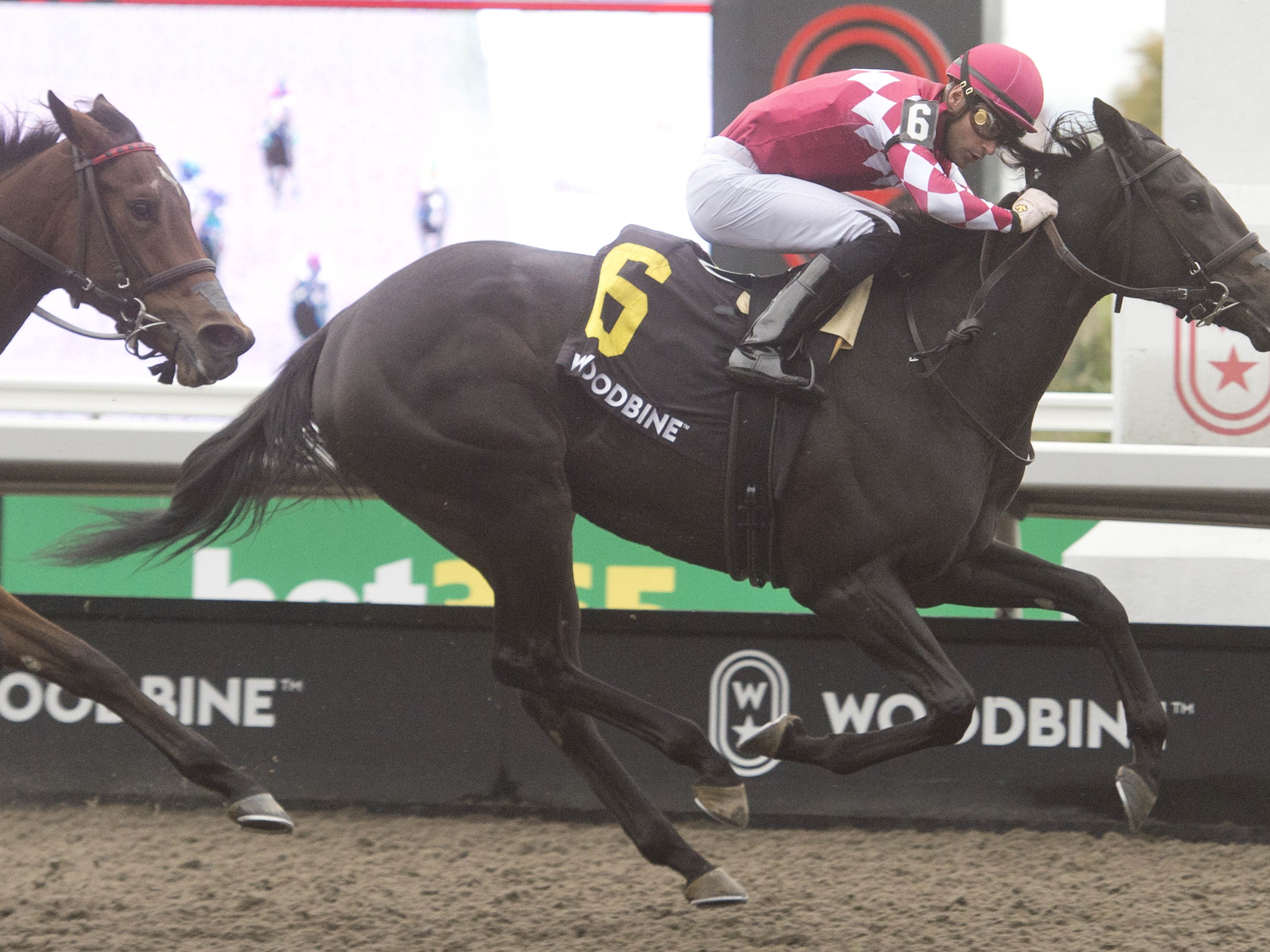 D.J. Stable duo jockey for top spot in Fury Stakes