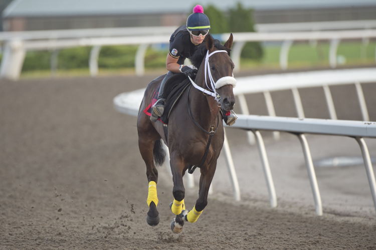 Collect Dattt training at Woodbine (Michael Burns Photo)