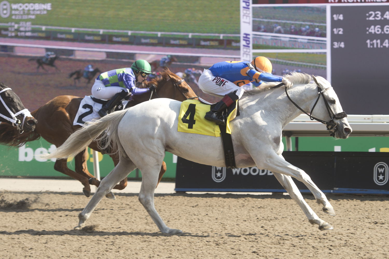 Queen Macha and jockey Rafael Hernandez winning Race 7 on May 4, 2024 at Woodbine (Michael Burns Photo)