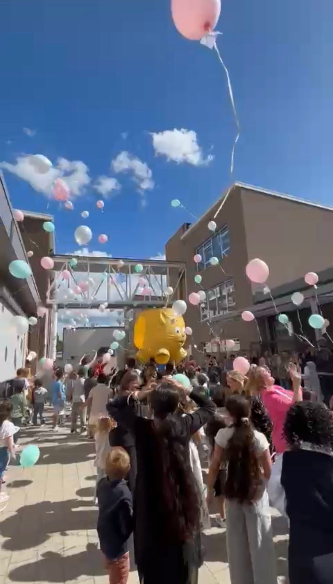 L’école Raymond Van Belle entame l’année scolaire dans un bâtiment entièrement rénové