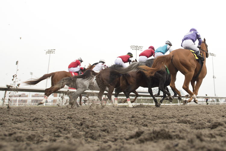 Closing day at Woodbine (Michael Burns Photo)