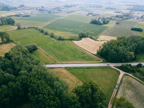 Image de drone des zones plantées