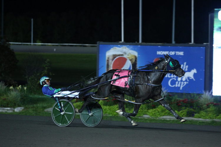 Abuckabett Hanover strides away to win the 2021 Simcoe Stakes at Woodbine Mohawk Park. (New Image Media)