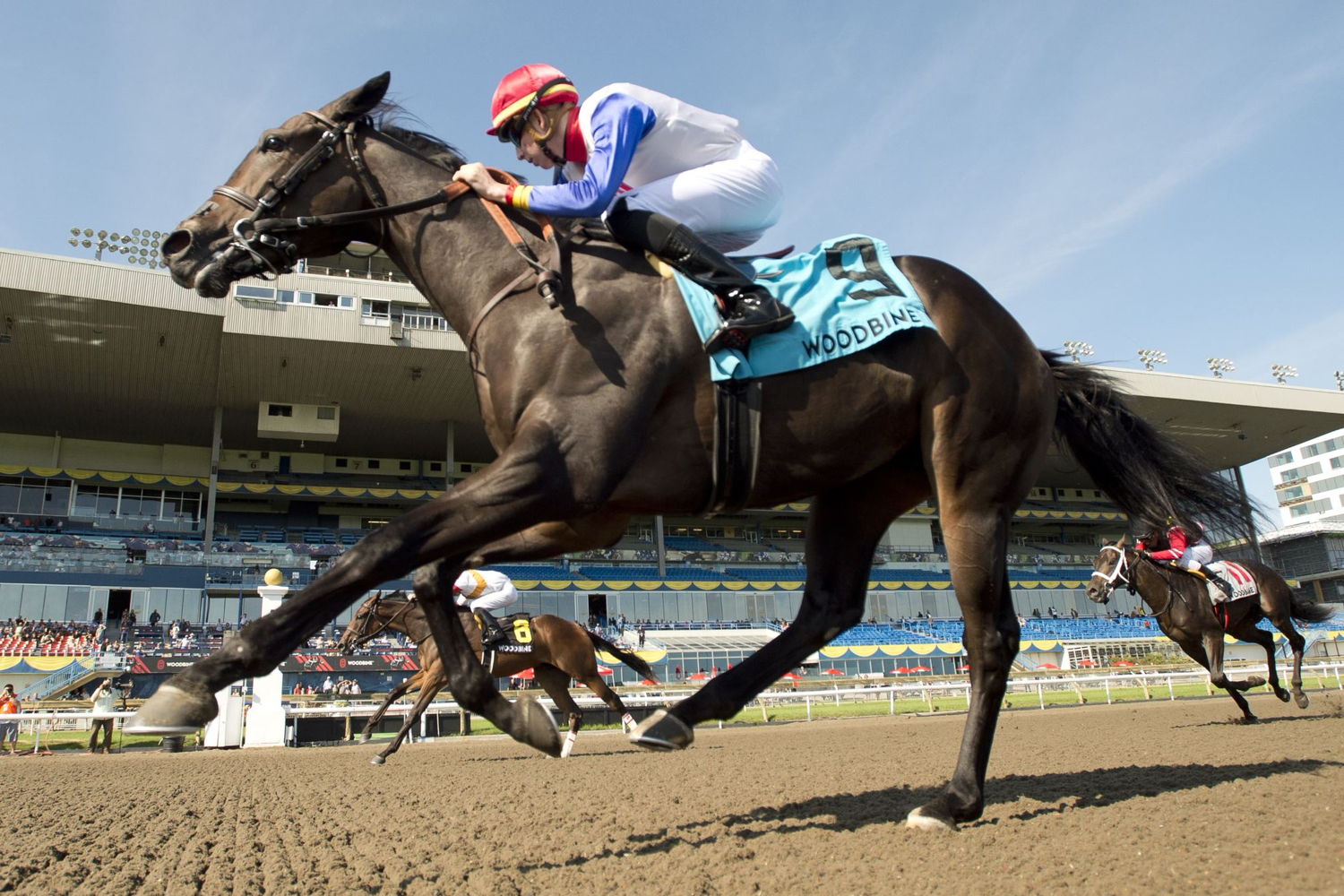 Gran Spirited and jockey Declan Carroll winning the Simcoe Stakes on August 28, 2022 at Woodbine (Michael Burns Photo)