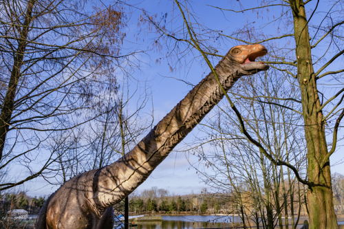 Wintonotitan