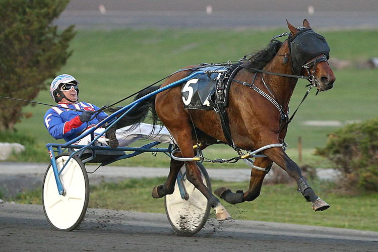 Bob Loblaw winning an elimination of the SBOA Pace. (New Image Media)