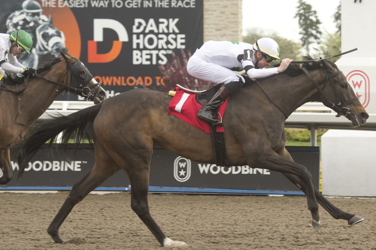 Millie Girl and jockey Declan Carroll winning at Woodbine on May 12, 2023 (Michael Burns Photo)