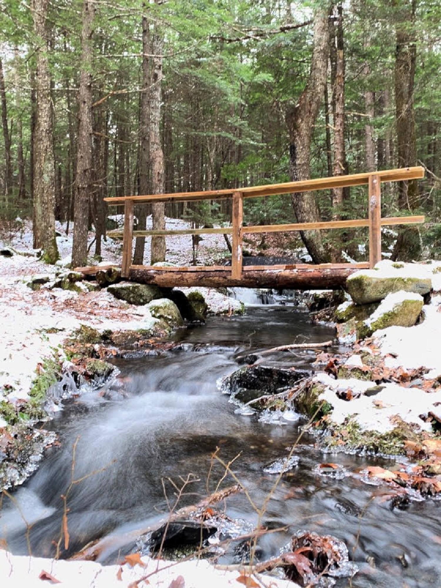 The Dismal at Pressy Brook Conservation Area
