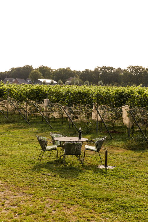 Domaine Brabantse Wal © Willeke Machiels