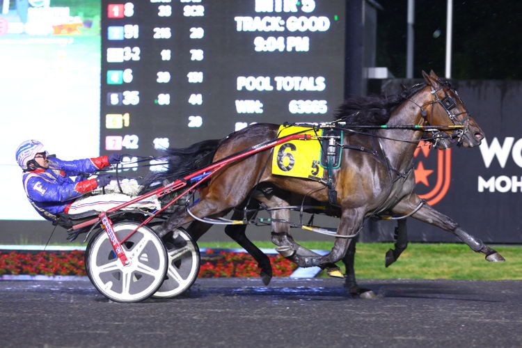 Funtime Bayama winning his Pepsi North America Cup elimination. (New Image Media)