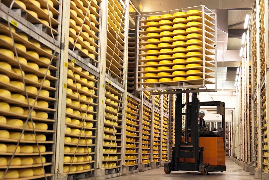 Cheese Storage, 2024