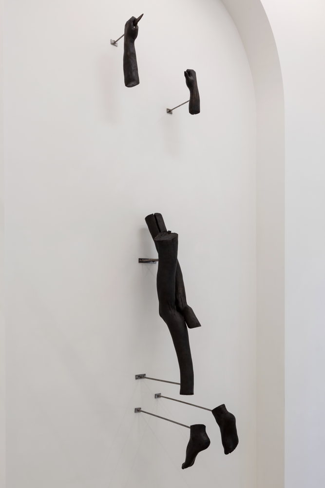 Corpo randagio (tentativo d’abbandono) ©Studio Daido