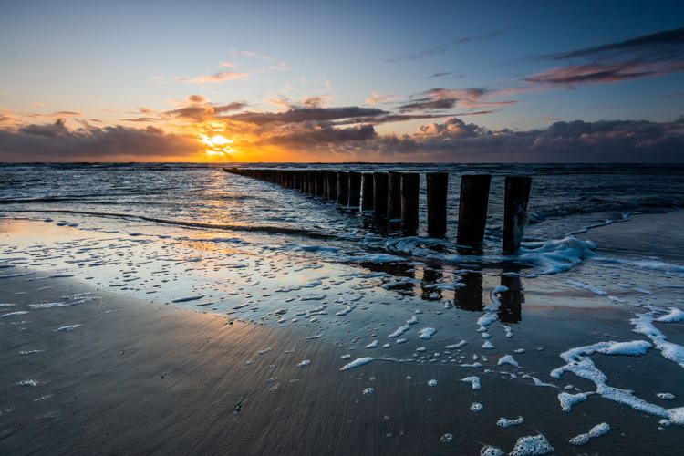 (c) Sabine van Dijk