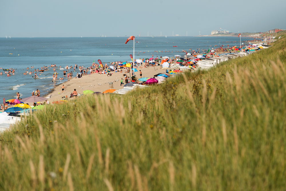 Belgische kust - 1