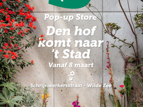Coming soon: Aveve Pop-Up Store in centrum Antwerpen