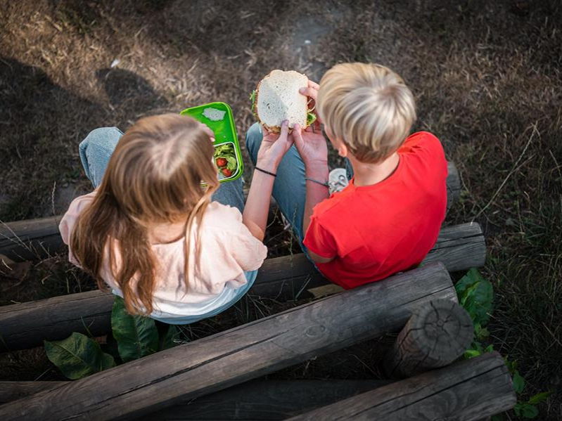 Brooddoosnodig, Panos en Lidl bundelen krachten voor voedzame schoolmaaltijden met ‘Goed Begonnen’ campagne