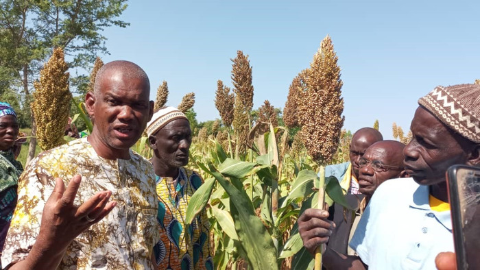 Preview: Farmer field days create demand for new millet and legume seeds in Mali