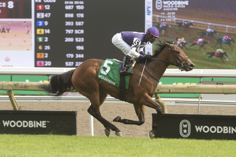 Play the Music and jockey Patrick Husbands winning the HPIbet Royal North Stakes (G3) at Woodbine on June 1, 2024 (Michael Burns Photo)
