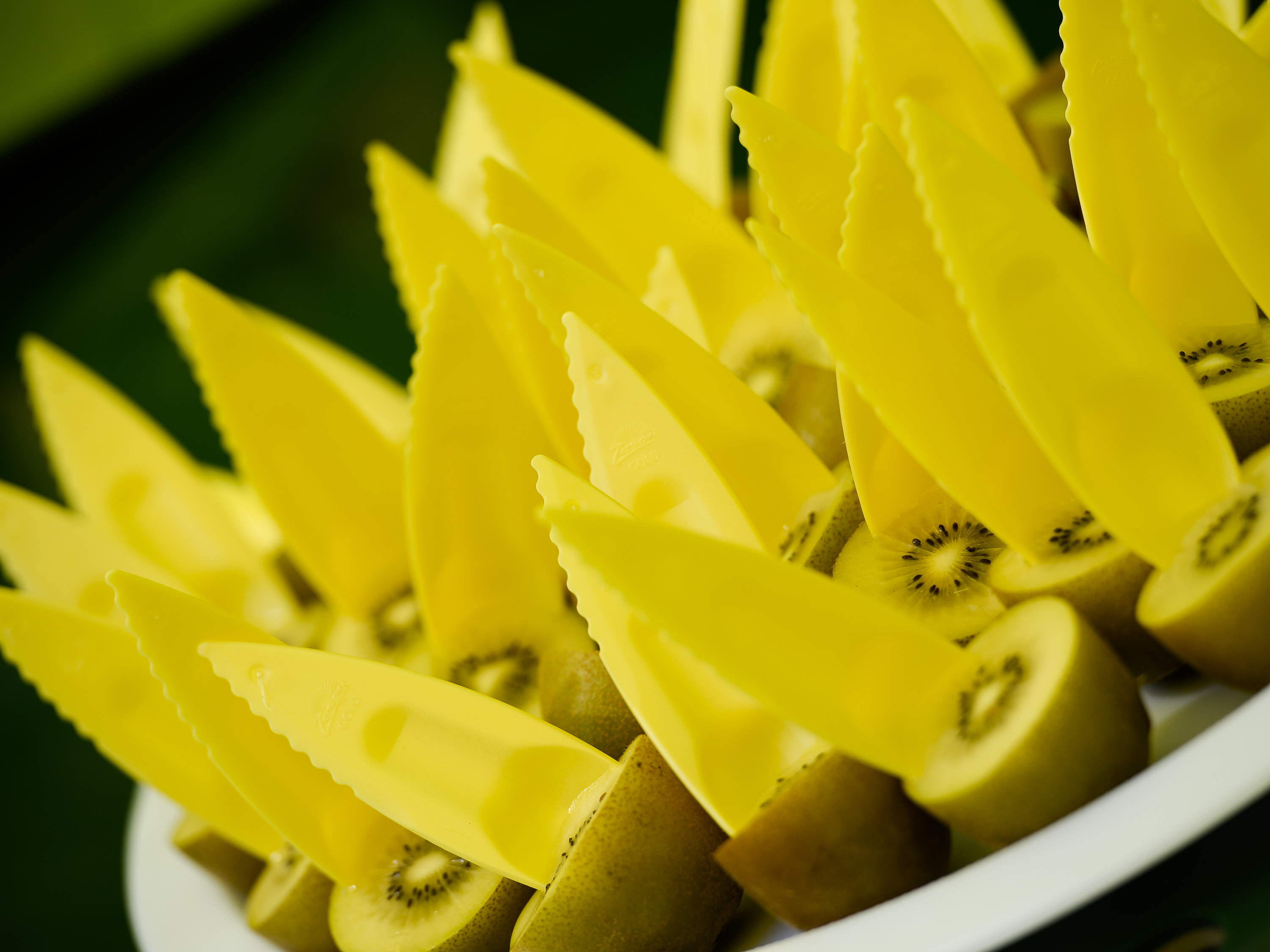 Plus de vitalité cet été avec un défi kiwi de 14 jours