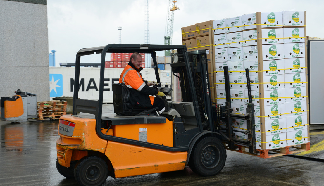 Anvers, 1er port d’escale pour le transport de conteneurs frigorifiques en provenance du Pérou, du Chili, de la Colombie, de l’Équateur et du Panama