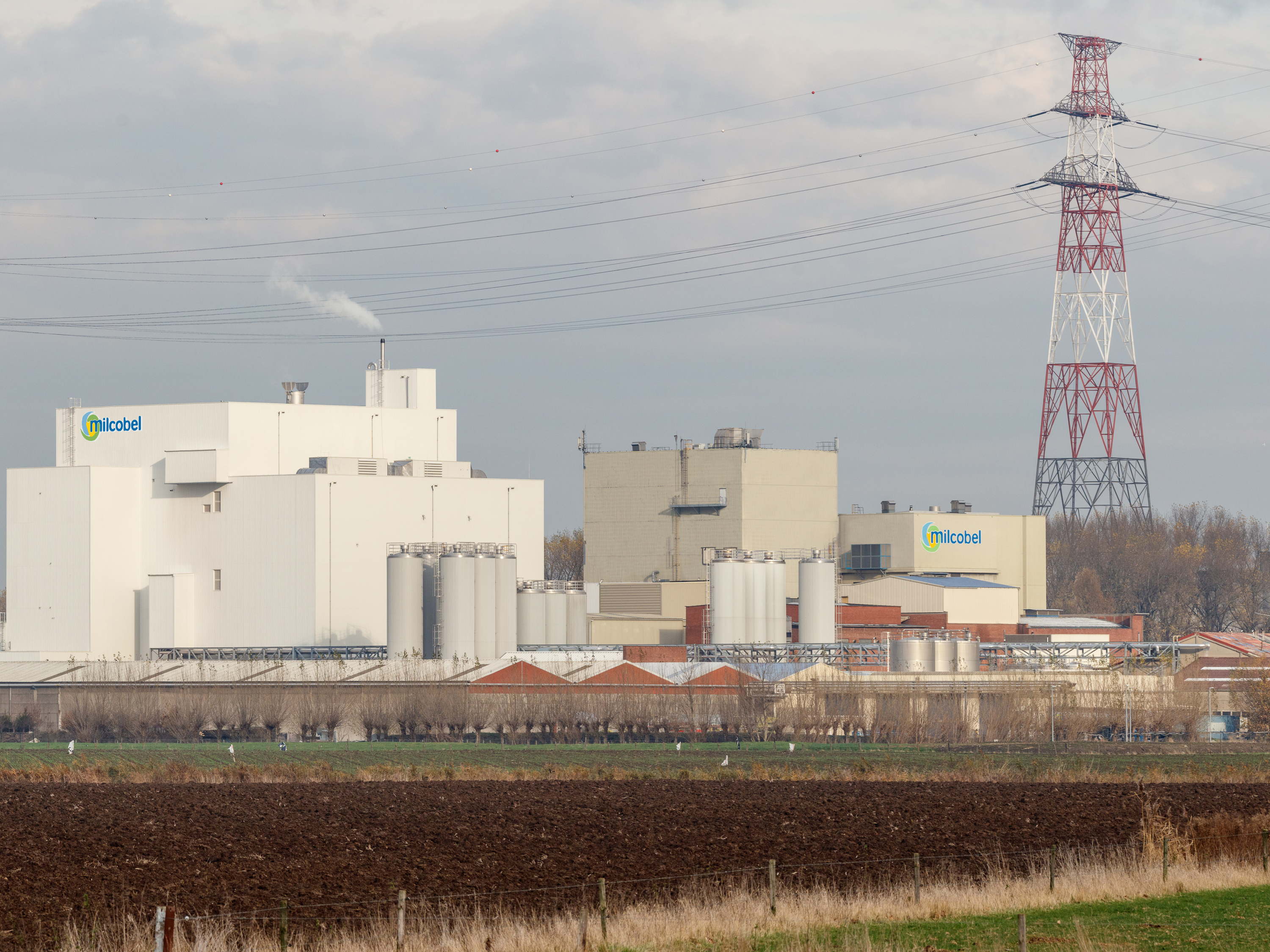 Milcobel announces reorganization to make company more efficient and flexible