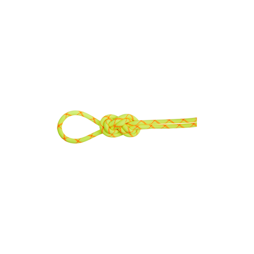 9.5 Alpine Core Protect Dry Rope