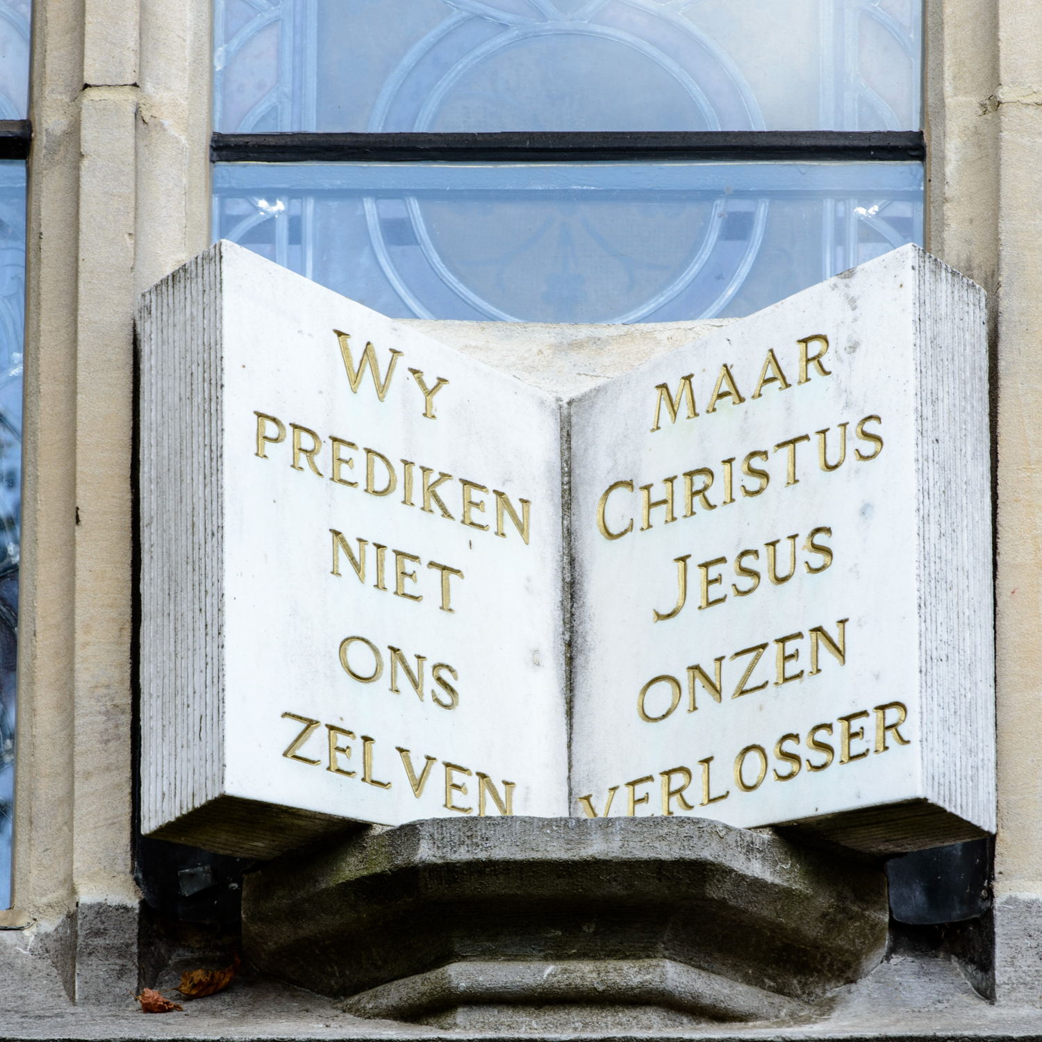 copyright Paul Muylaert