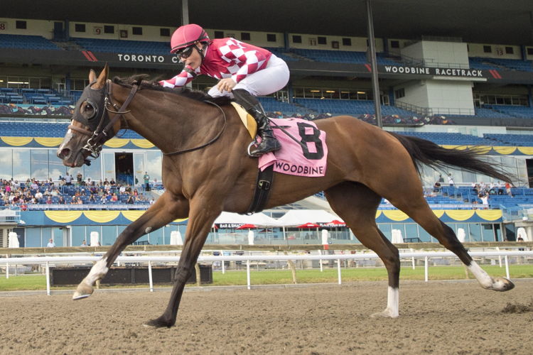 Me and My Shadow and jockey Emma-Jayne Wilson winning the Bison City Stakes on August 13, 2023 at Woodbine (Michael Burns Photo)