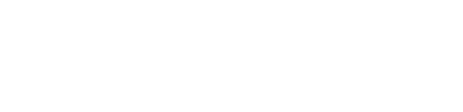 ORIGO Logo in reverse
