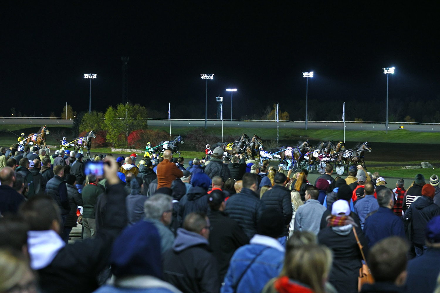 The Breeders Crown returns to Woodbine Mohawk Park in 2025. (New Image Media)