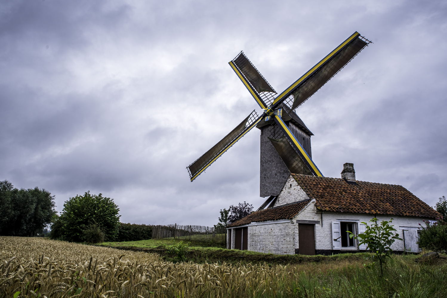 Meuleken 't Dal (© Pieter-Jan De Torck)