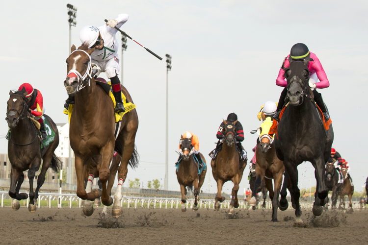 Caitlinhergrtness and jockey Rafael Hernandez winning the 165th King's Plate on August 23, 2024 at Woodbine (Michael Burns Photo) Caitlinhergrtness and jockey Rafael Hernandez winning the 165th King's Plate on August 23, 2024 at Woodbine (Michael Burns Photo)
