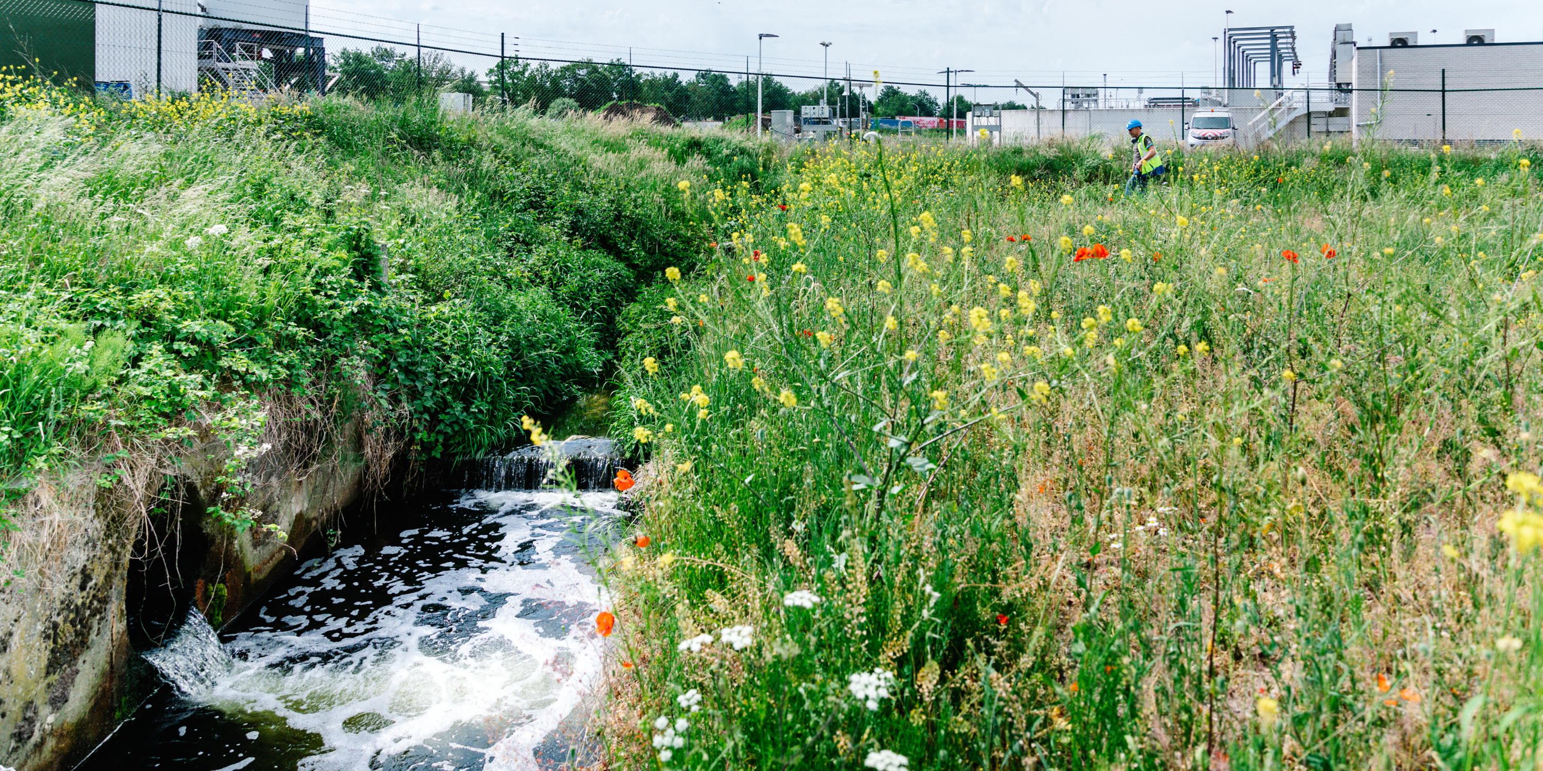 Méér huishoudelijk afvalwater zuiveren vraagt slimme beleidskeuzes