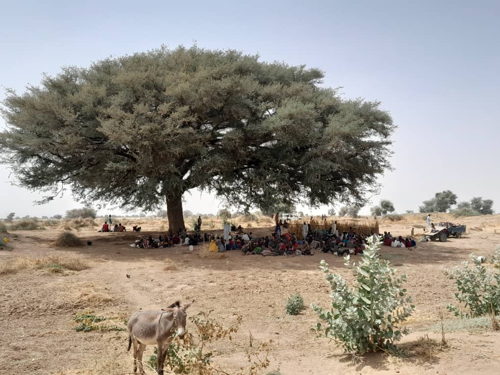 New families arrived in Tawila following new attacks in Zamzam camps. Copyright: Marion Ramstein/MSF
