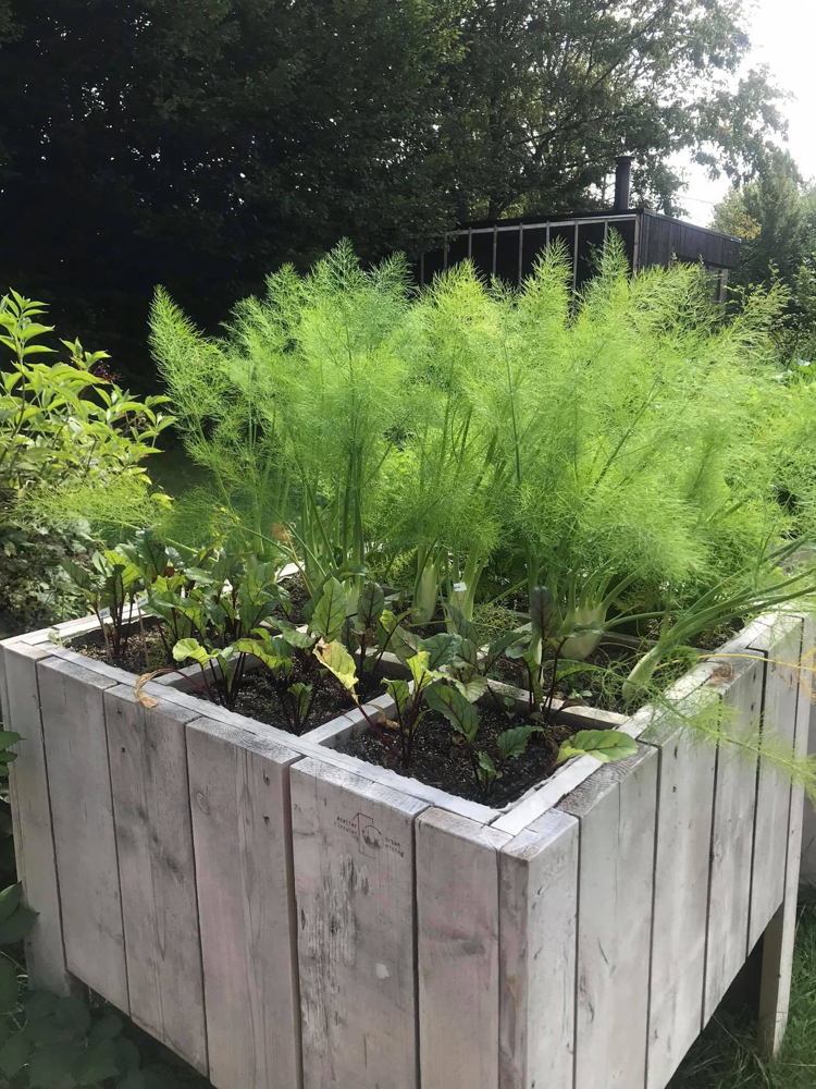 moestuinbakken uit gerecupereerd hout, vervaardigd door Atelier Circuler