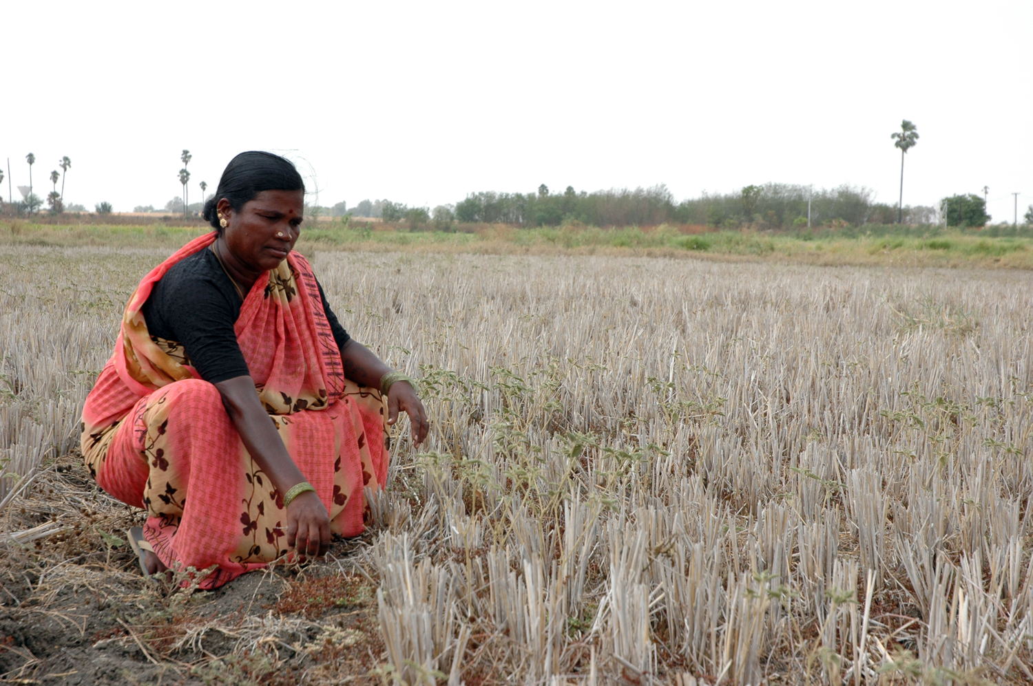 Women farmer in the field.