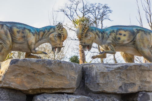 Pachycephalosaurus