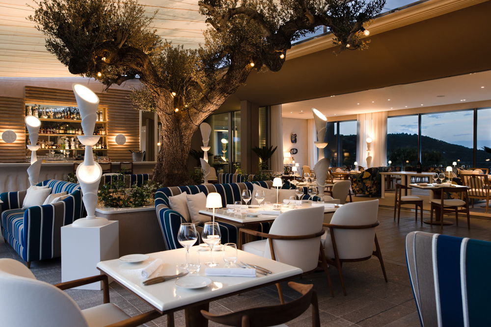 LRR Culinary LaVoile 8244