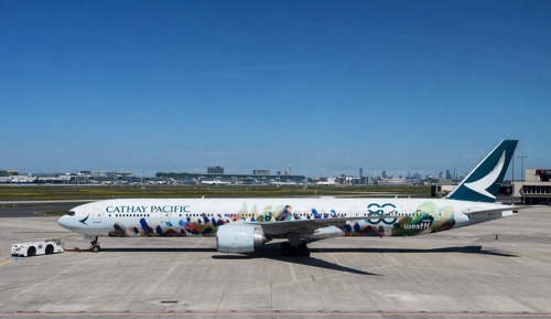 Cathay Pacific feiert Premiere im Terminal 3 am Frankfurter Flughafen mit Jubiläums-Livery „Spirit of Hong Kong“