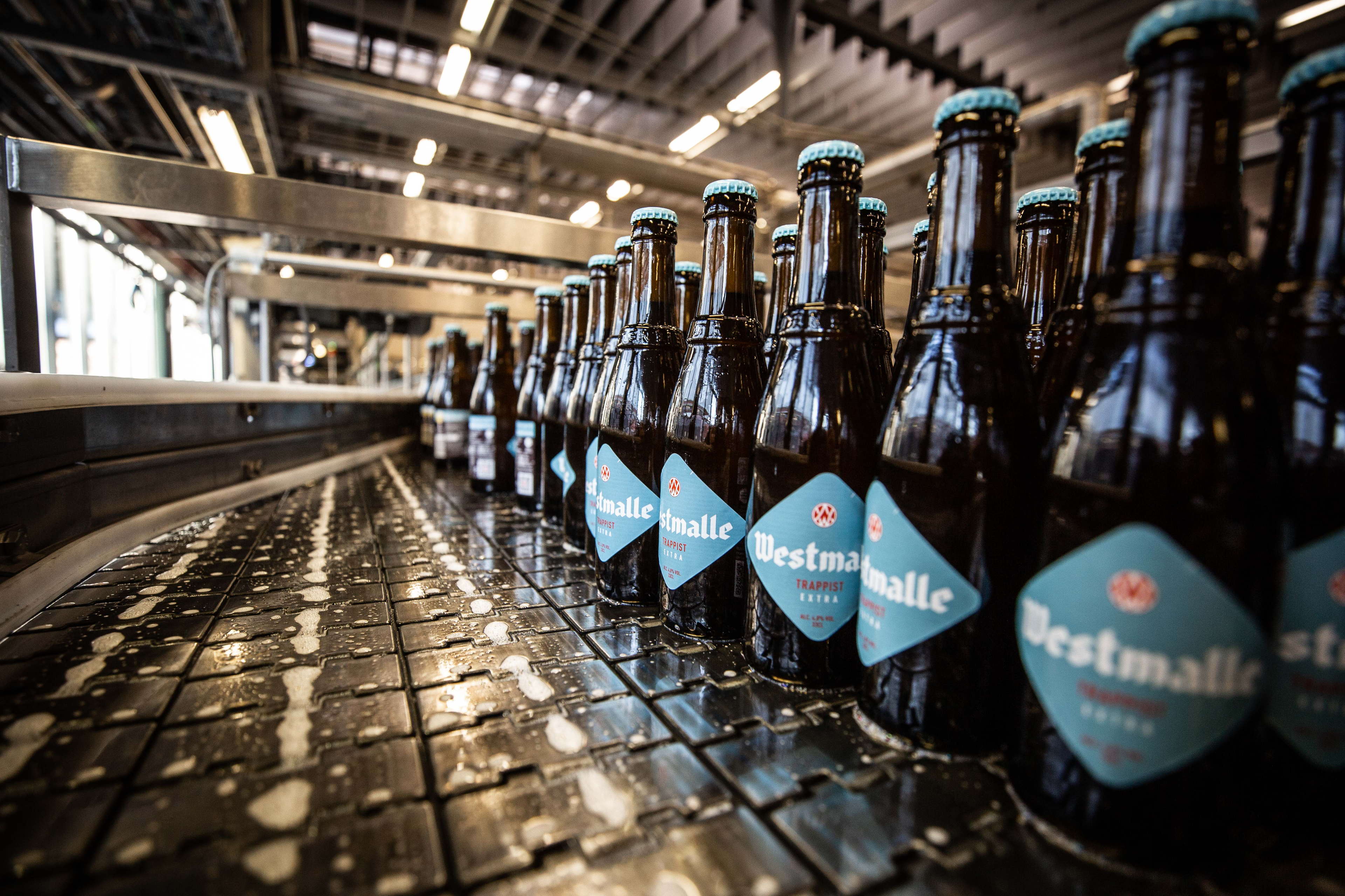 Westmalle Extra released on a broader scale