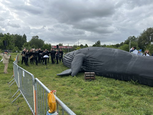 ©IOBZ SW_Wij zijn de Walvis - Kortrijk 2025 ©IOBZ SW_Wij zijn de Walvis - Kortrijk 2025