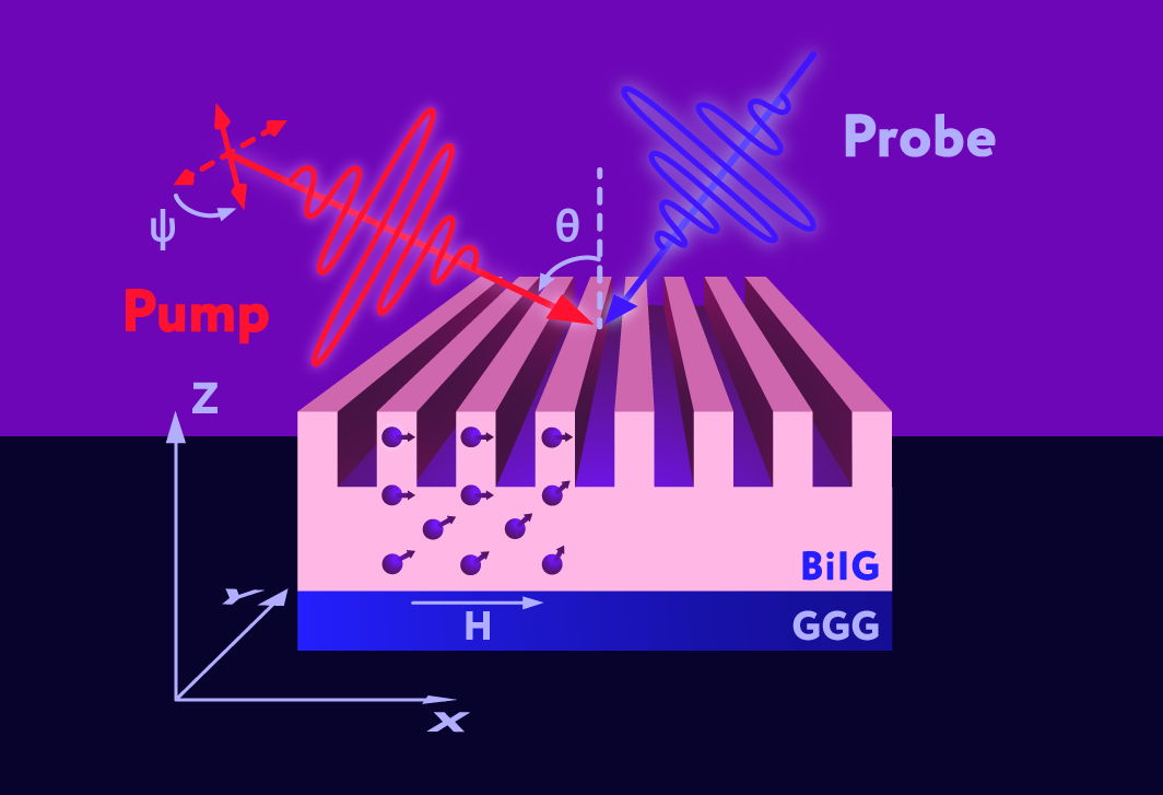 Figure 1. Schematic representation of spin wave excitation by optical pulses. The laser pump pulse generates magnons by locally disrupting the ordering of spins — shown as violet arrows — in bismuth iron garnet (BiIG). A probe pulse is then used to recover information about the excited magnons. GGG denotes gadolinium gallium garnet, which serves as the substrate. Credit: Alexander Chernov et al./Nano Letters