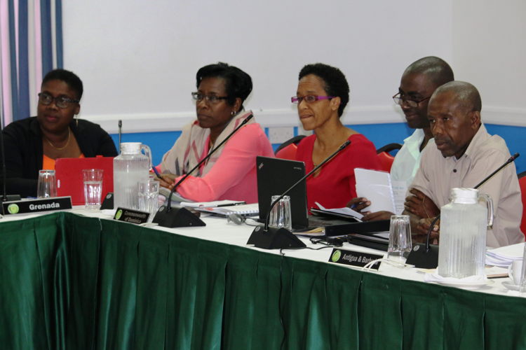 Workshop participants