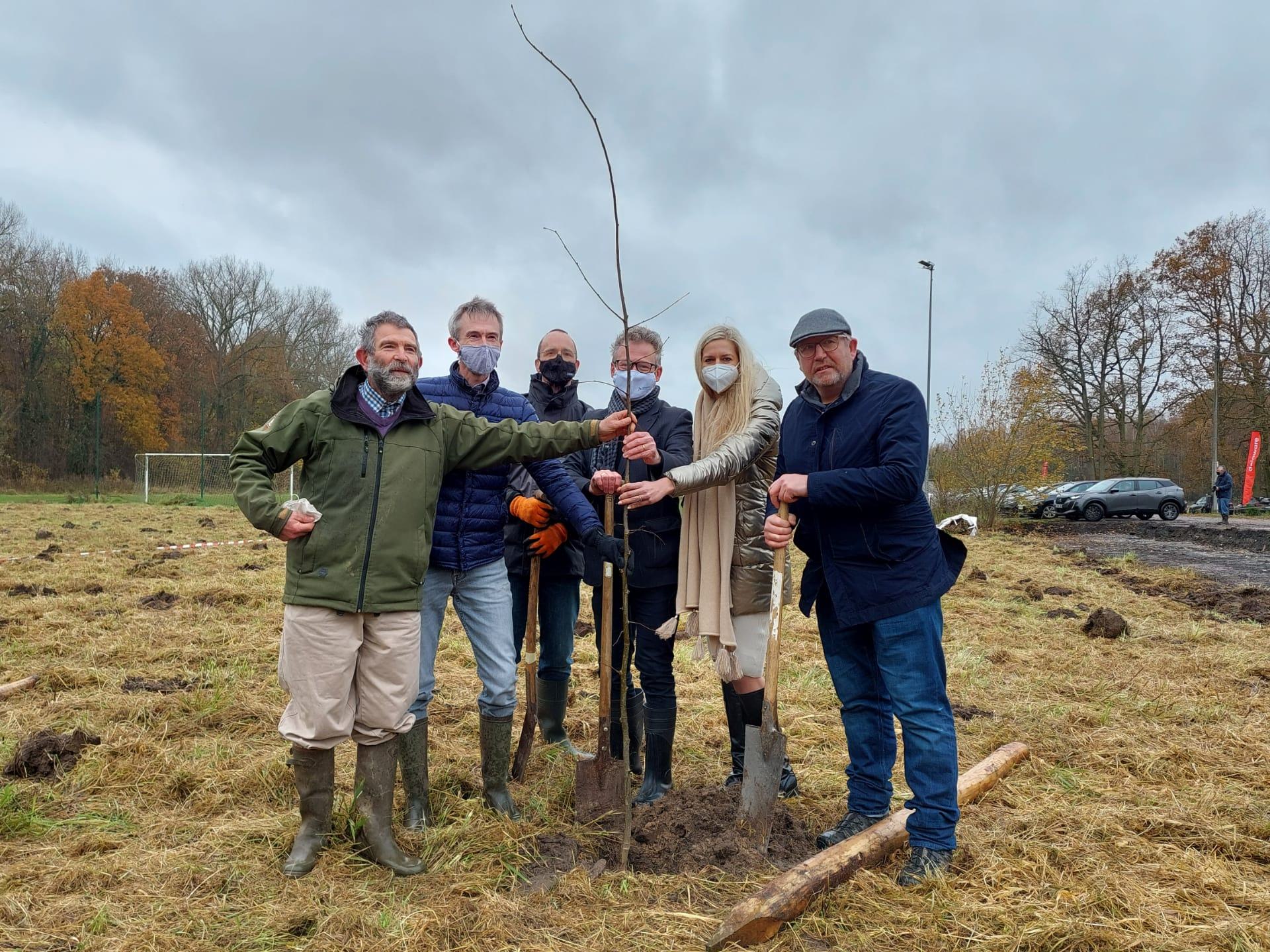 Natuurpunt, provincie en gemeente planten bomen aan om twee historische bossen met elkaar te verbinden (copyright: Hendrik Trekels) Natuurpunt, provincie en gemeente planten bomen aan om twee historische bossen met elkaar te verbinden (copyright: Hendrik Trekels)