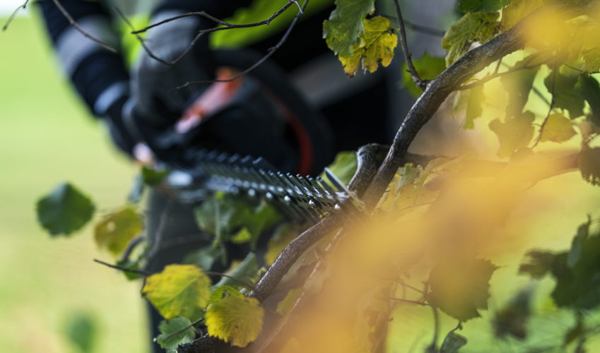 ©Husqvarna 522iHD