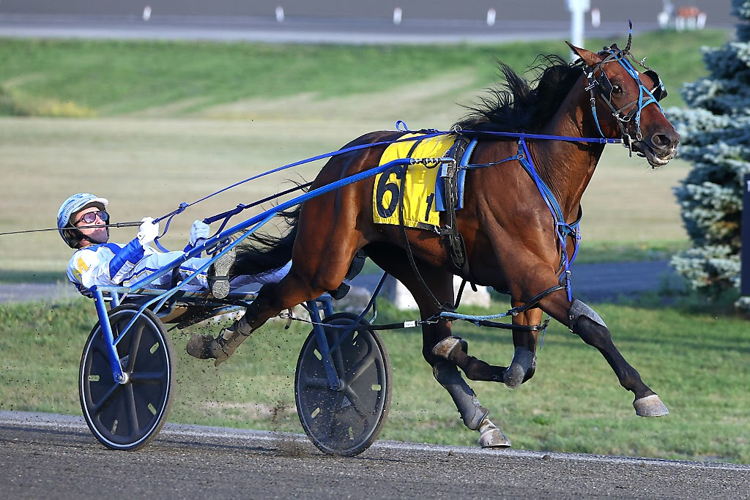 Hasty Bid winning the Wellwood Consolation. (New Image Media)
