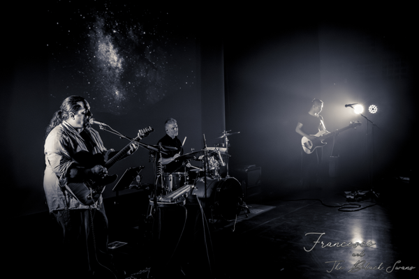 "Francesco and the Black Swans’’ est de retour avec un tout nouvel album